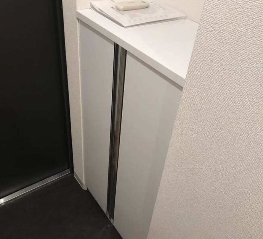 北区十条仲原３丁目の賃貸マンションの収納
