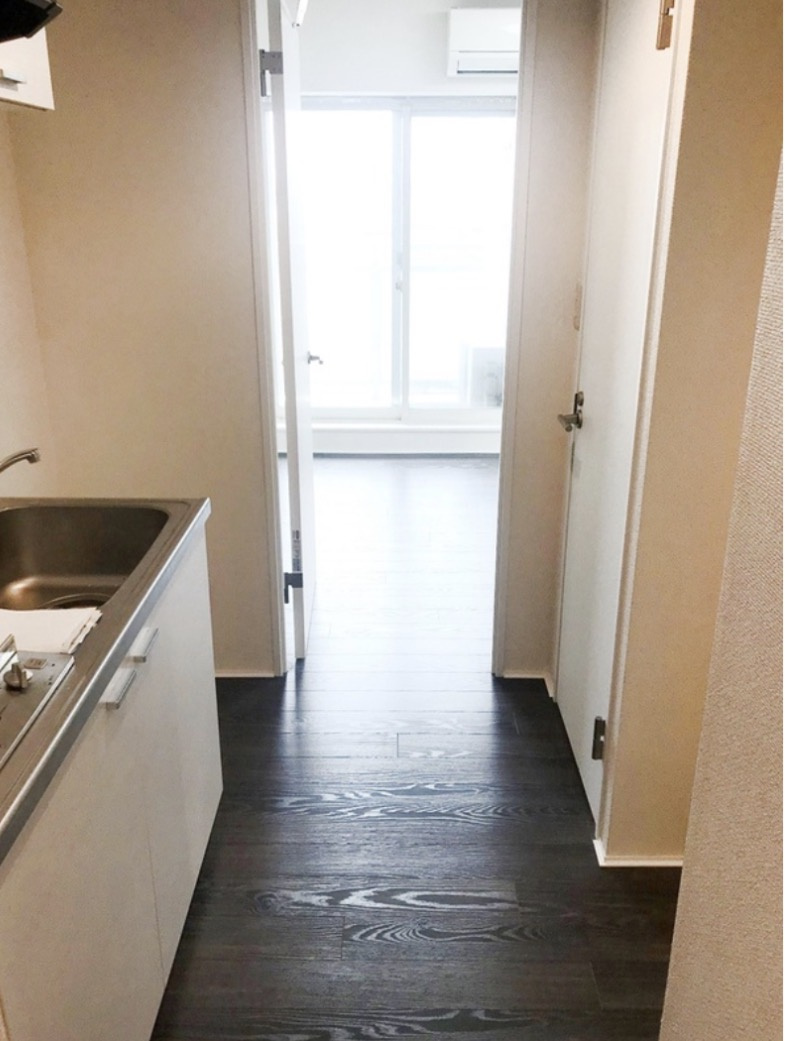 北区十条仲原３丁目の賃貸マンションの玄関