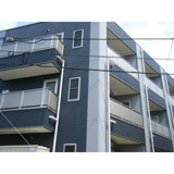 アンプルール　フェールM.Yの画像