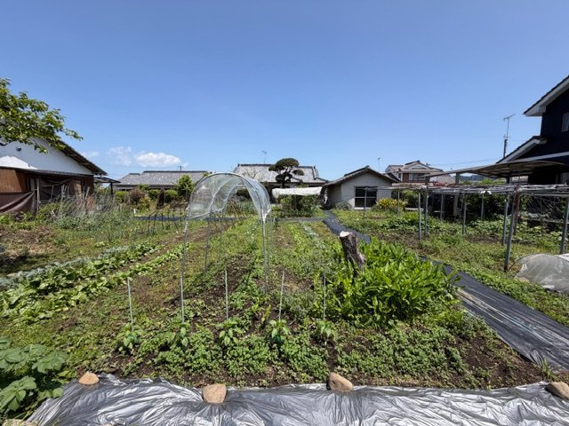 都城市高城町穂満坊の中古一戸建のその他|畑