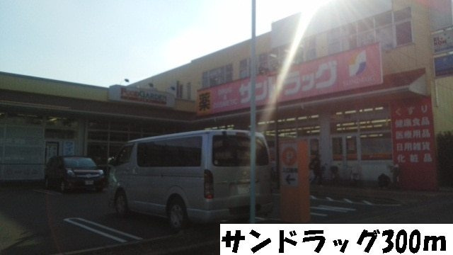 プラシードRのその他|サンドラッグ