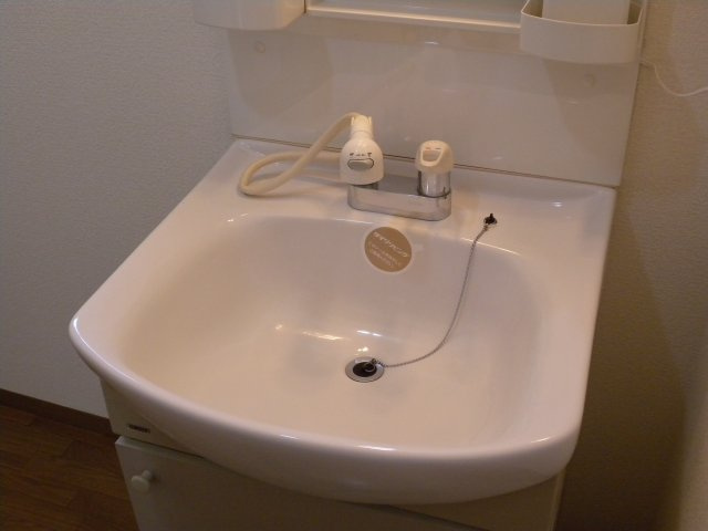 エステリーオA棟　の洗面所