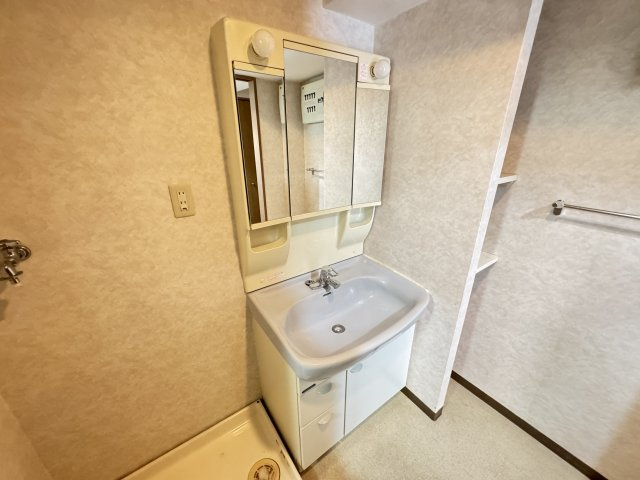 ライオンズステーションプラザ松戸の洗面所
