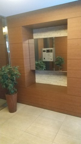 川崎市中原区新丸子町の賃貸マンションのエントランス
