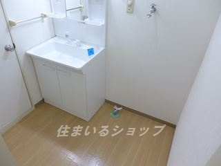 セジュール清水Ⅱ　Ｂ棟の洗面所|シャンプードレッサー