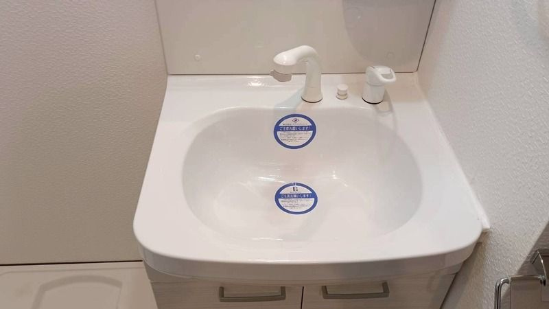 エクセル杭全の洗面所