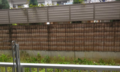 【展望】 | ANNEX 池之端