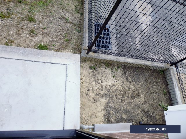 エステリーオD棟の庭
