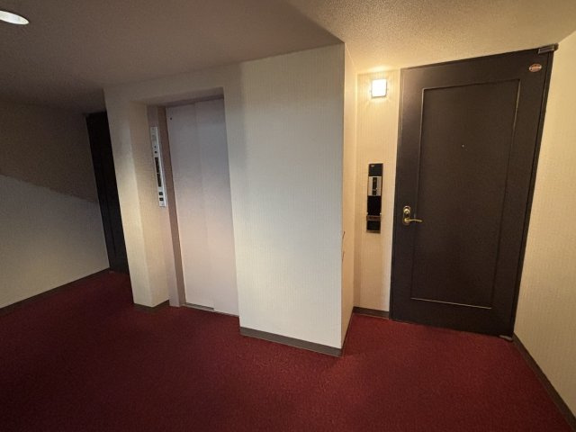 パーク・ハイム国立の玄関|お部屋の玄関前とエレベーター前です。ホテルライクな内廊下のタイルカーペット仕様です。