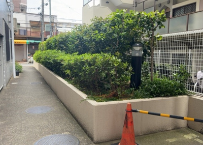 【中庭】 | ライオンズプラザ淵野辺 | 中庭（パティオ）とは、一つの建築物の内部に設けられた、壁などで囲われている庭のことを指します。コの字型、ロの字型が主流ですが、L字型の中庭もあります。最近では、インテリア性の高さからも人気があります。