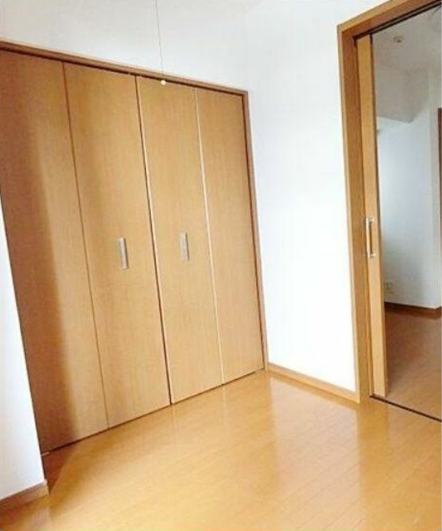 日神デュオステージ新御徒町 の収納