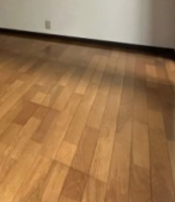ソフィアの内装