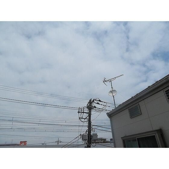 ＬＯＴＵＳ　ＧＡＲＤＥＮ　ＨＯＳＡＫＡの展望