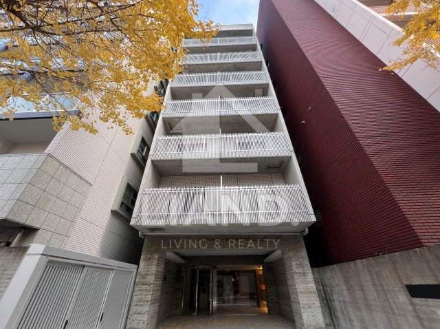 MIMOSA　TERRACE　玉川小学校区のエントランス|MIMOSA　TERRACE