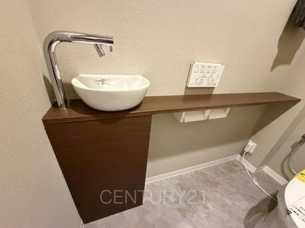シンフォニア高崎城址のトイレ|手洗いカウンターが付いてます。