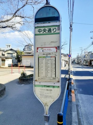 【周辺】 | パークハイム常盤台 | バス停 中央通りまで131m