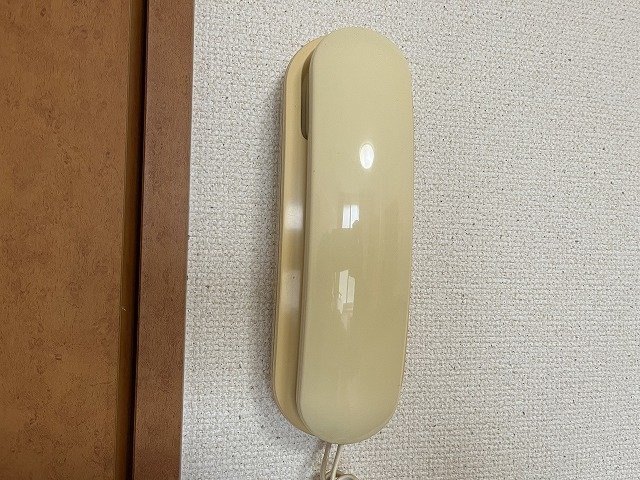 レオパレスセジュール和泉のその他