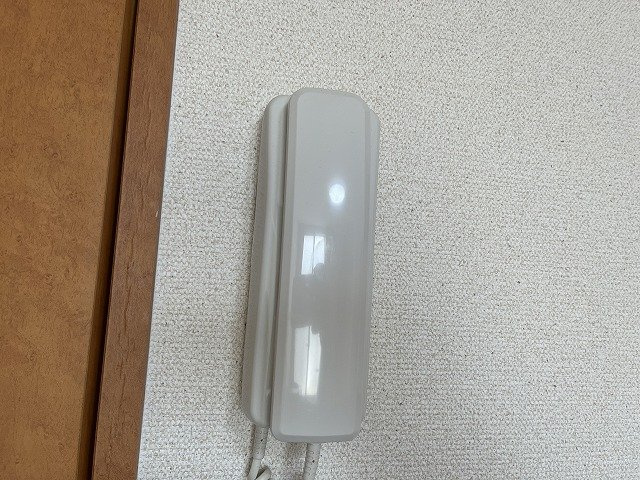 レオパレスセジュール和泉のその他