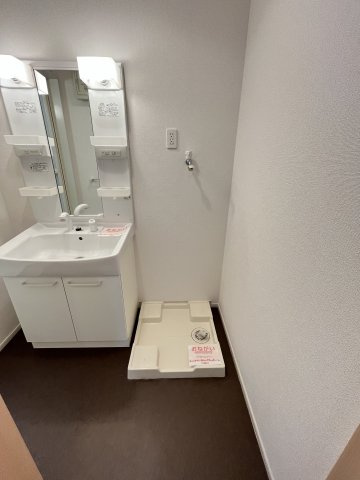 フレーシアⅢの洗面所