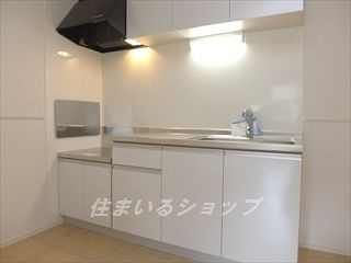 広島市安佐北区上深川町のアパートのキッチン|浄水器一体型シャワー水栓