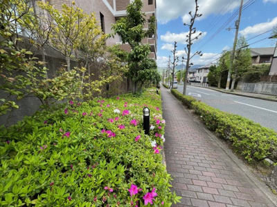 【周辺】 | 神戸北町ウィルコートＡ棟