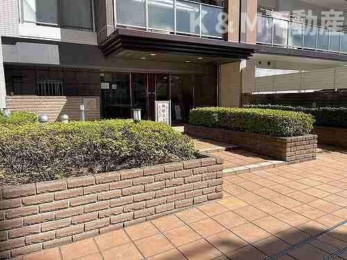 ルネサンス南柏駅前のエントランス|エントランスです