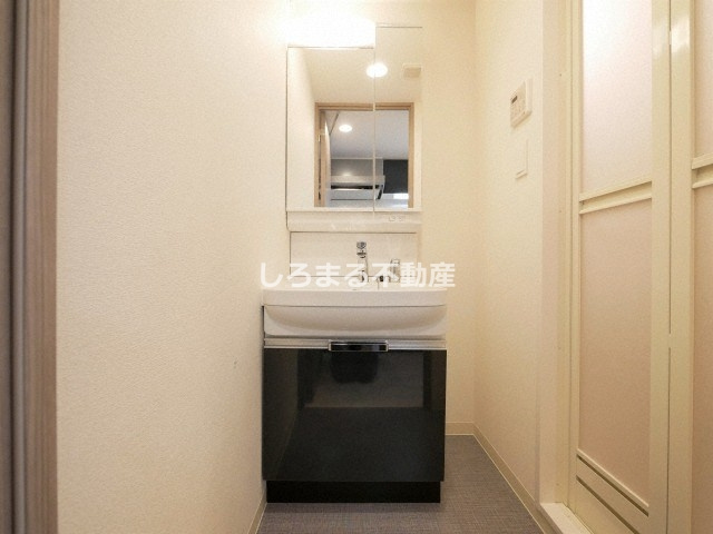 プレサンス谷町九丁目ディセオの洗面所