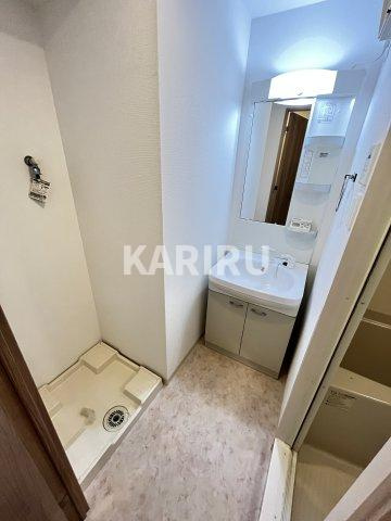 フォレストガーデン天満橋Ⅰの洗面所