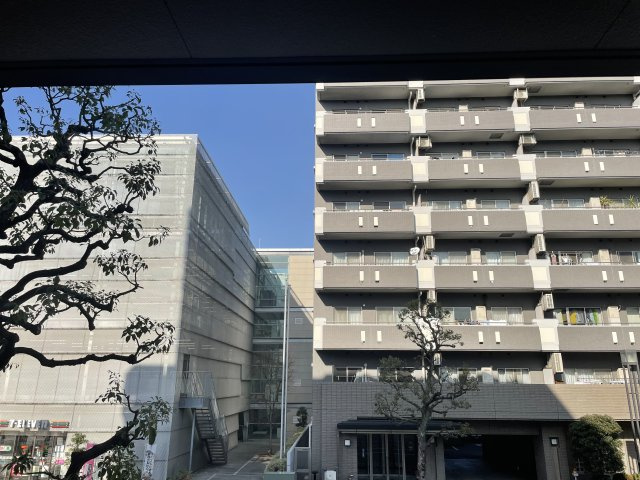 プレジオ亀沢の展望