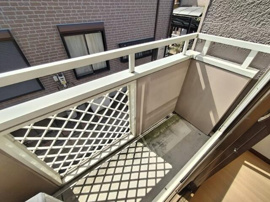 参考写真