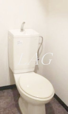 【トイレ】 | スカイコート新大塚 | トイレです。