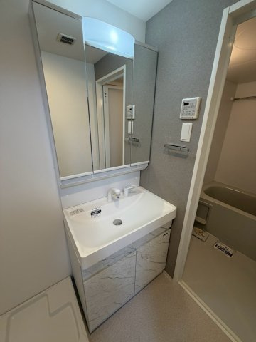 S-RESIDENCE高岳bresa(ブレサ)の洗面所