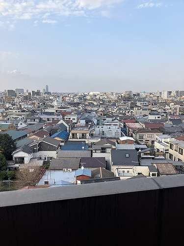 グローリオ十条の展望