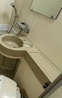ロイヤル大山の洗面所