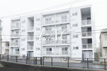 ＣＲＯＳＳＣＥＥＤ　Ｋａｍａｔａの画像
