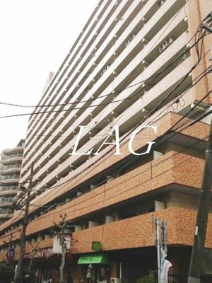 【外観】 | ライオンズステーションプラザ両国 | 外観です。