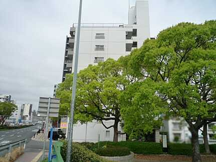 パラッシオ昭和町のその他