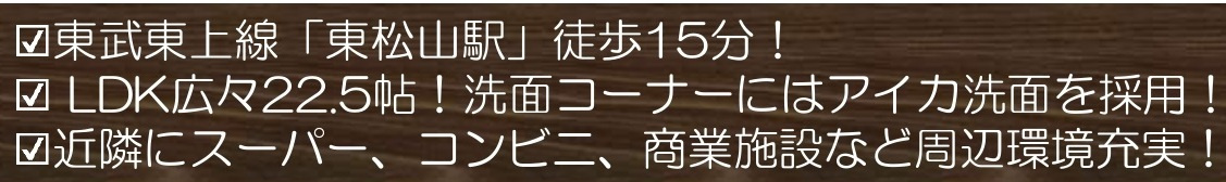 【仲介手数料無料】新築戸建　東松山市和泉町6付近の構造・工法・仕様