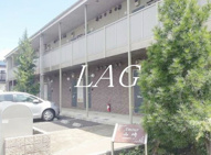 アムール 山﨑の画像