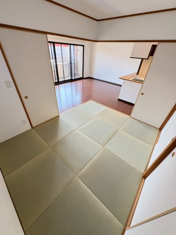 エレガンス甲子園のその他