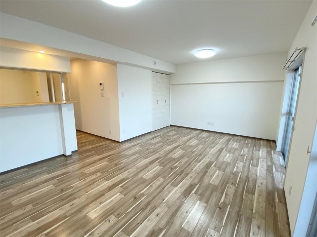プロキオンIのその他