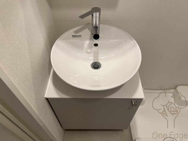 エスリードレジデンス梅田デュオの洗面所