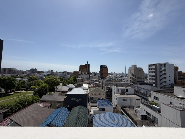 キャッスルマンションお花茶屋の展望
