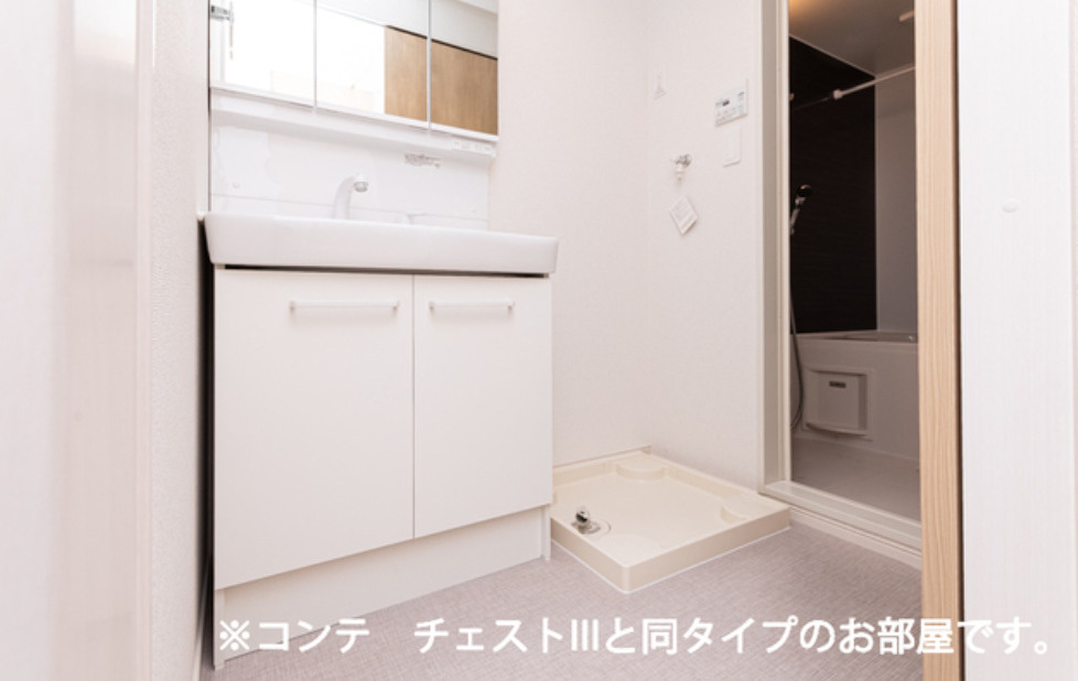 ボニータみのりの洗面所