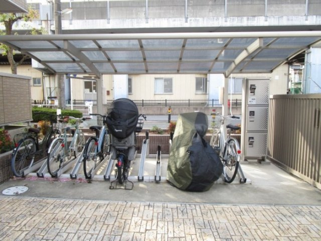 パインⅢ