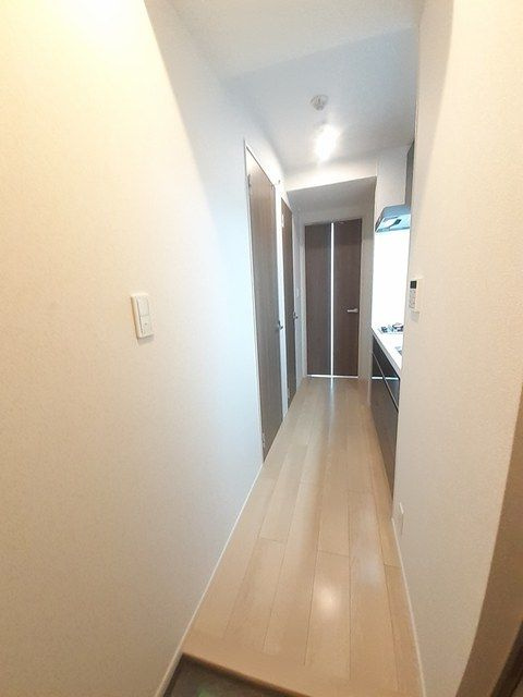 ラピュタのその他