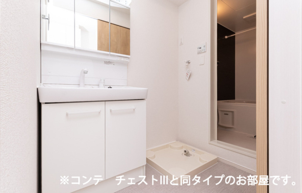 ボニータみのりの洗面所