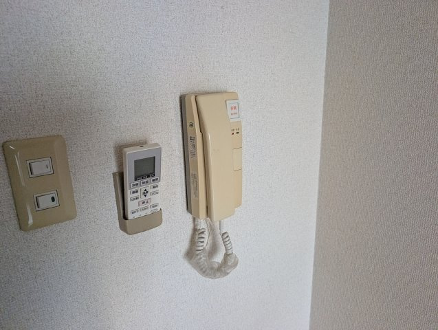 トップハイム・サノのセキュリティ