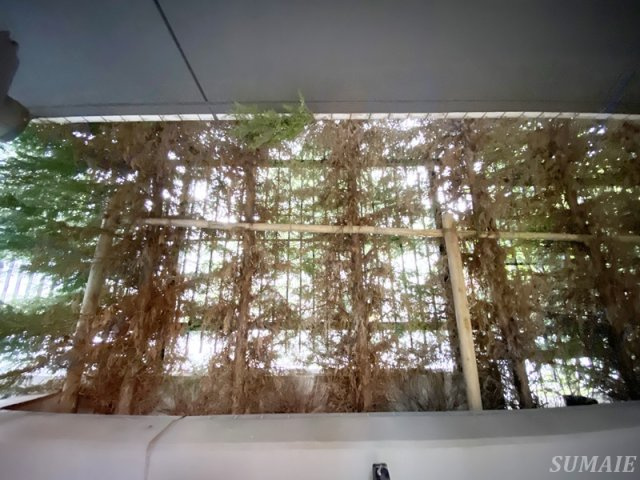 ラティエラ滝野川の展望|眺望です☆