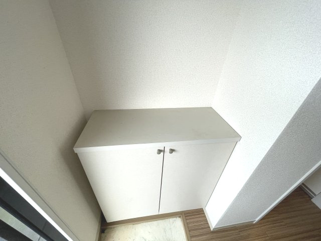 エルメゾンⅢの収納|シューズボックス